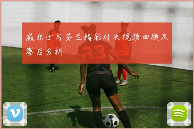 威尔士与芬兰精彩对决视频回顾及赛后分析